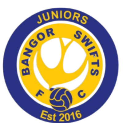 Bangor swifts Juniors Logo